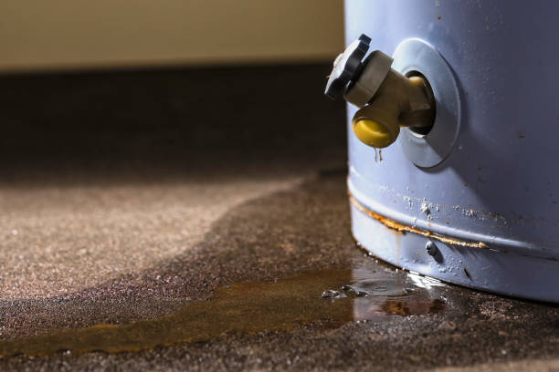 Best Water damage cleanup near me  in Wailuku, HI