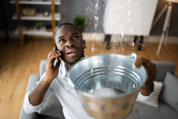 Best Professional water damage repair  in Wailuku, HI