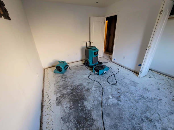 Best Water damage restoration cost  in Wailuku, HI