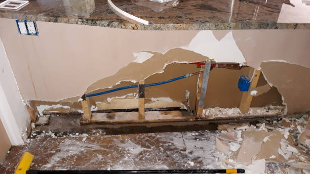 Best Water damage restoration mold remediation  in Wailuku, HI